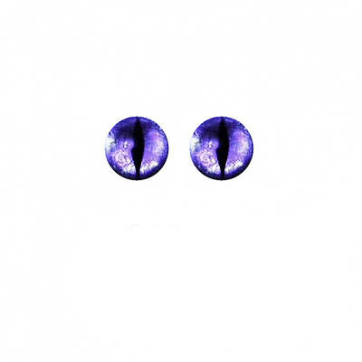 Plastic Dinosaur Safety Craft Eye