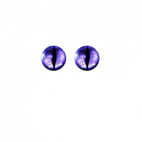 Plastic Dinosaur Safety Craft Eye