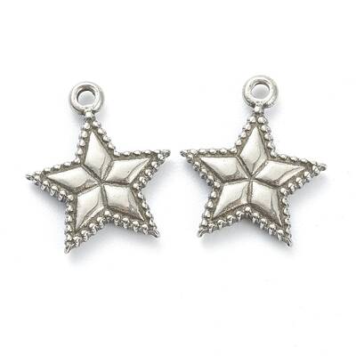 Non-Tarnish 304 Stainless Steel Charms