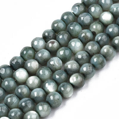 Natural Freshwater Shell Beads Strands
