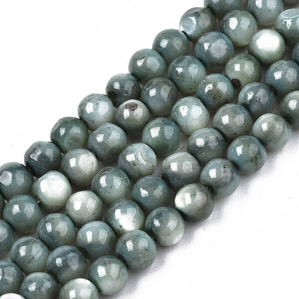 Natural Freshwater Shell Beads Strands
