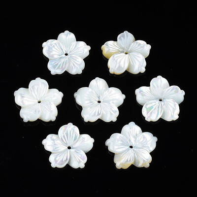 Natural White Shell Beads