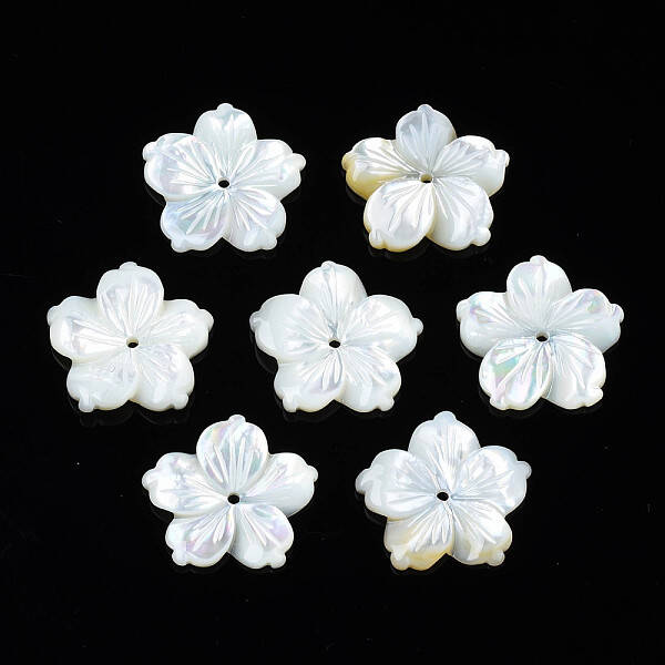 Natural White Shell Beads