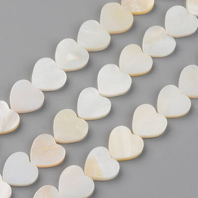 Natural Freshwater Shell Beads Strands