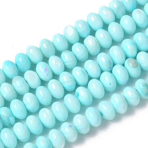 Natural Freshwater Shell Beads Strands