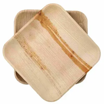 Dtocs Compostable Palm Leaf Plates - 8 Inch Square (Pack 50) | USDA Certified Biobased Compostable Bamboo Look Dinner, Snack ...