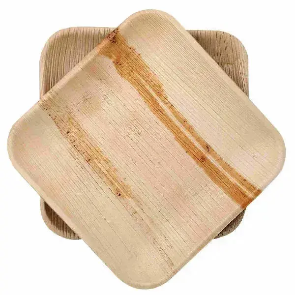Dtocs Compostable Palm Leaf Plates - 8 Inch Square (Pack 50) | USDA Certified Biobased Compostable Bamboo Look Dinner, Snack ...
