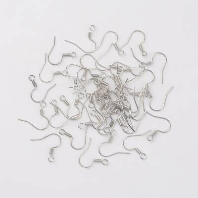 Iron Earring Hooks
