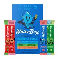 Waterboy Hydration Sports Drink Trial Pack - 0.91oz/5ct Healthy Beverage