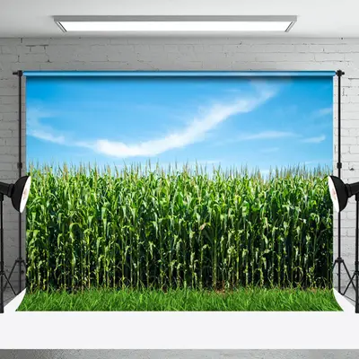 Blue Sky Green Cornfield Summer Backdrop For Photo - Aperturee