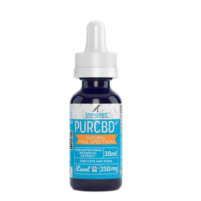 CBD Oil for Cats