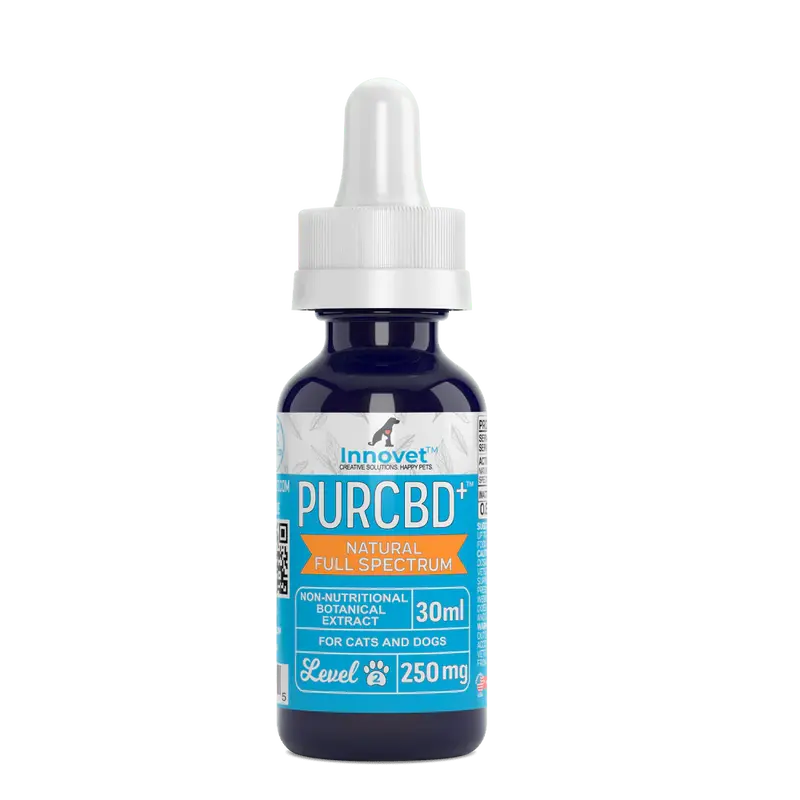 CBD Oil for Cats