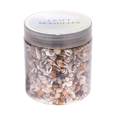 No Hole Spiral Shell Beads