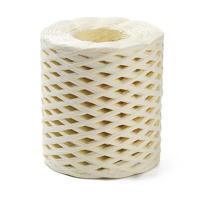 Raffia Ribbon