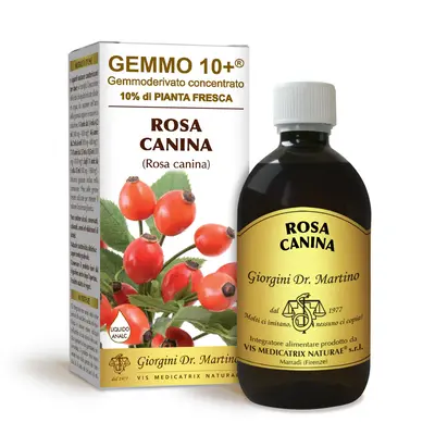 Dr Giorgini gemmo 10+ rosehip 500 ml non-alcoholic liquid