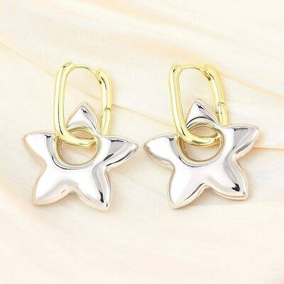 Star Brass Hoop Earrings for Women