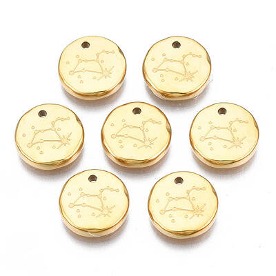 316 Surgical Stainless Steel Charms