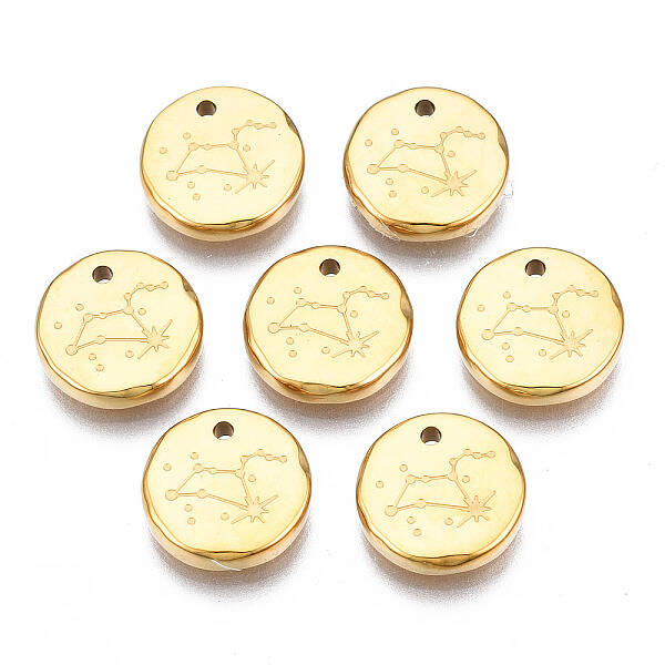 316 Surgical Stainless Steel Charms