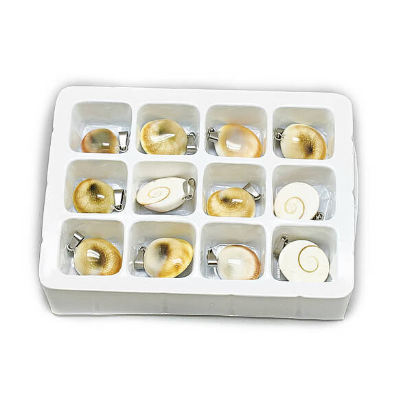 Freshwater Shell Pendants