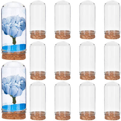 Clear Glass Dome Cover
