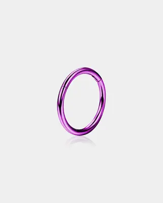 Titanium Hinged Segment Nose Ring - Purple / 10mm
