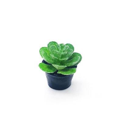 Mini Resin Artificial Succulent Plant Ornaments