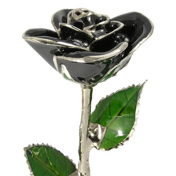 Silver Trimmed Rose: 11 Black Rose