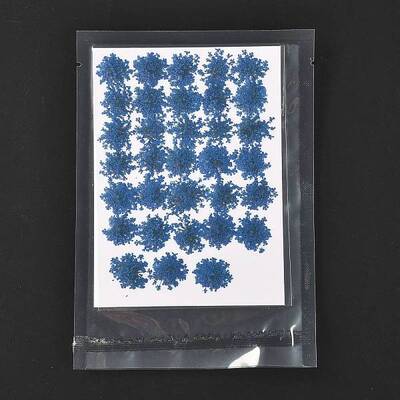 Pressed Dried Flowers