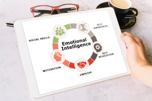 Introduction to Emotional Intelligence