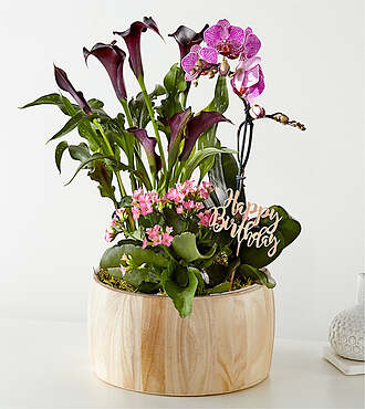 Happy Birthday Orchid Garden - FedEx
