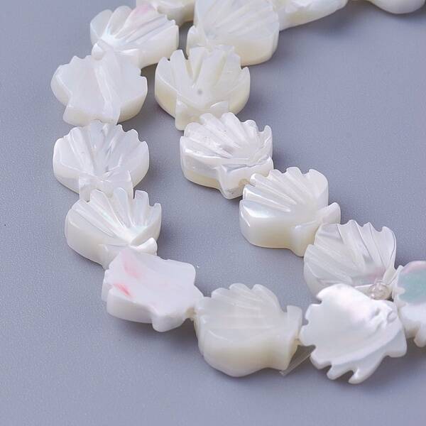 Shell Beads Strands
