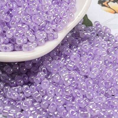 Ceylon Glass Seed Beads