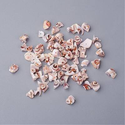 Natural Spiral Shell Beads