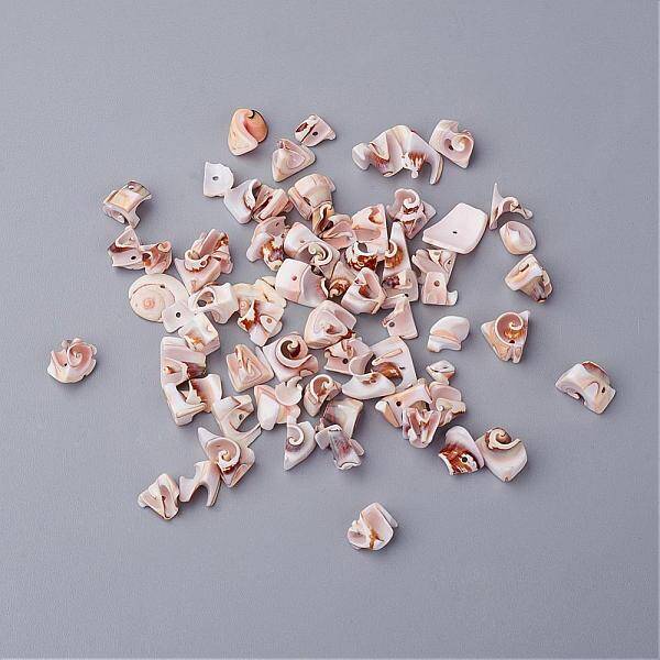 Natural Spiral Shell Beads