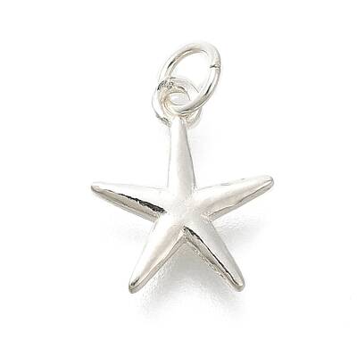 925 Sterling Silver Charms
