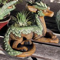 Creative Wood Dragon Design Succulent Pot, 1 Count Cute Dragon Design Succulent Planter, Desktop Decoration Ornament for Hom...