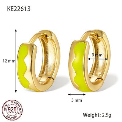 925 Sterling Silver Thick Hoop Earrings