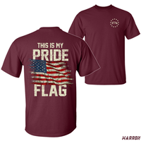 This Is My Pride Flag T-Shirt – Bold Patriotic USA Flag Design with 1776 Emblem, Perfect for July 4th, American Pride Wear,...