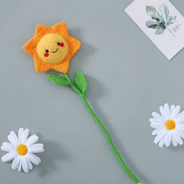 DIY Needle Felting Beginner Kit