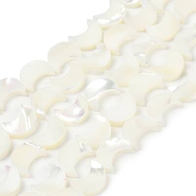 Natural White Shell Beads Strands