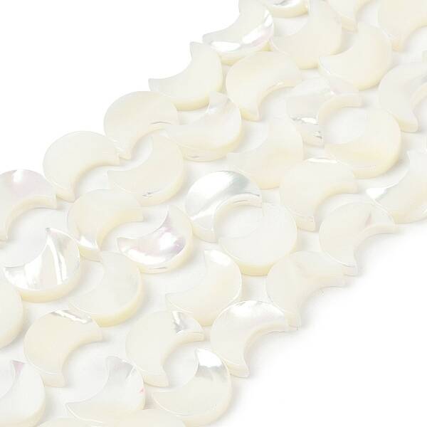 Natural White Shell Beads Strands