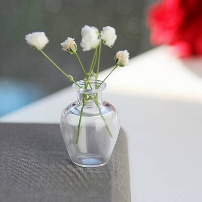 Glass Vase Ornaments