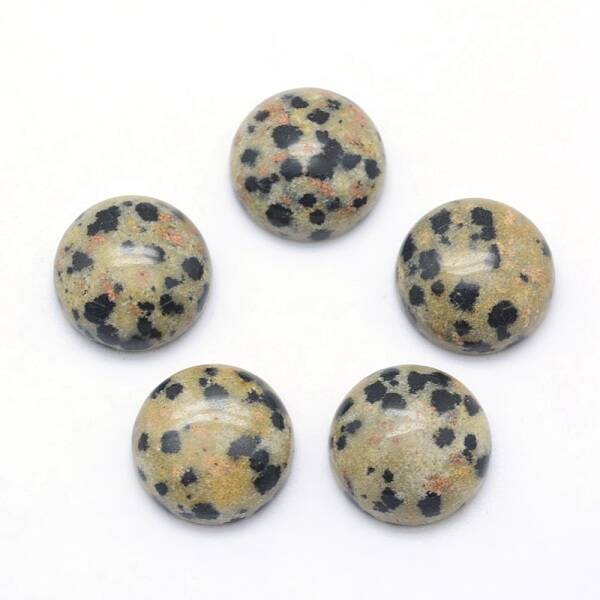 Natural Dalmatian Jasper Cabochons