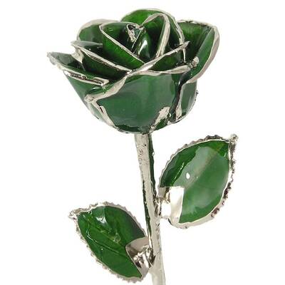 Silver Trimmed Rose: 11 Dark Green Rose