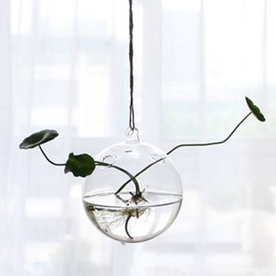 Hanging Glass Plants Planters