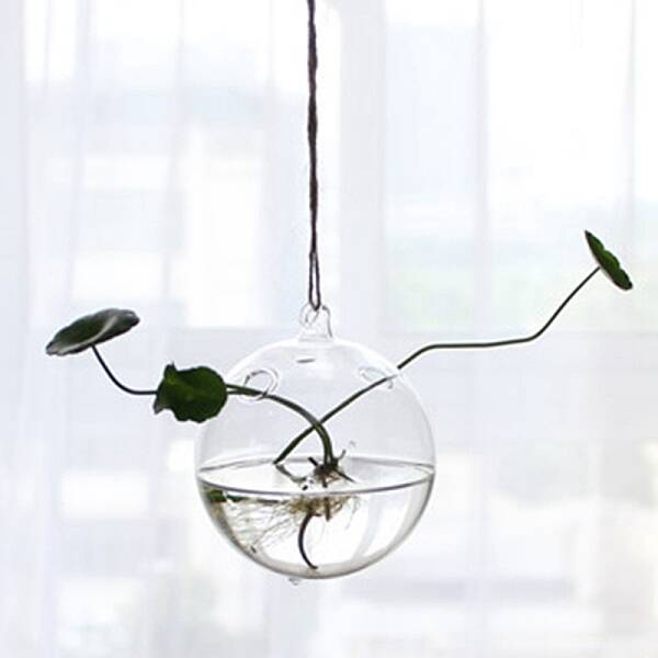 Hanging Glass Plants Planters