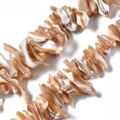 Natural Trochid Shell/Trochus Shell Beads Strands