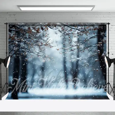 Cold Snowy Scene Branchs Forest Bokeh Winter Backdrop - Aperturee