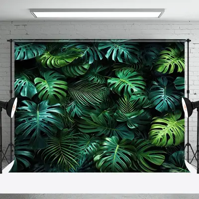 Natural Plant Monstera Spring Photography Backdrop - Aperturee