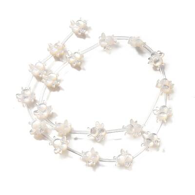Natural White Shell Beads